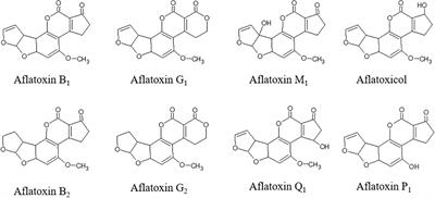 Plant Bioactive Compounds in Pre- and Postharvest Management for Aflatoxins Reduction